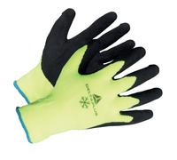 Gants spécial froid Delta Plus Apollo Winter taille 10, lot de 12 paires