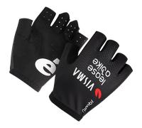 Gants TEAM VISMA LEASE A BIKE 2026 noir