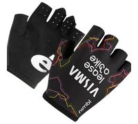 Gants TEAM VISMA LEASE A BIKE The Trilogy 2026 noir