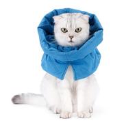 GANYKQ Collier de convalescence coupe-vent pour chat - Pratique et réglable - En forme de cône - Conçu pour aider à guérir après