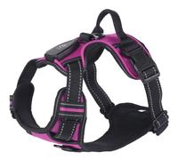 GANYKQ Harnais LED lumineux pour animal domestique - Plusieurs tailles - Pour promener votre chien ou chaton - Accessoires de marche nocturne
