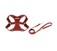 GANYKQ Harnais pour chien avec laisse - Sangle de poitrine - Harnais de traction pour activités de plein air