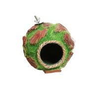 GANYKQ Nichoir pour perroquet - Pour hamster - Pour cage de coquillage, animal domestique - Fournitures de décoration - Pendentif