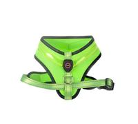 GANYKQ Sangle de poitrine LED rechargeable avec boucle robuste pour chien chat grande taille harnais de promenade chaton harnais pour chiens