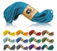 Ganzoo Paracord 350 Cordon 2,5 mm Type 1, 30 m, Bleu Ciel, enveloppe Nylon Polyester, âme 100% Nylon, cordelette résistante pour nœuds, tressage, ligatures et activités extérieures