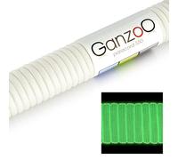 Ganzoo paracorde 550 Fluorescente Blanc 31 m, Corde Parachute Nylon gainé Ø 4 mm avec 7 Fils de cœur, Lueur la Nuit après Charge env. 2-5 h, pour Bivouac, kit Survie, pêche, Bricolage, Pas Escalade