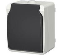 Gao Prise 2P+T Aquatop