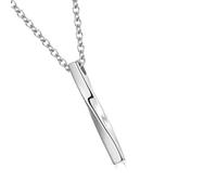 GAOFESA Collier urne en métal antirouille pour animal domestique avec médaillon moderne pour souvenir d'un animal de compagnie et d'un ami perdu