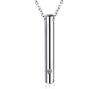 GAOFESA Récipient commémoratif en acier inoxydable pour chien - Pendentif cylindrique - Urne funéraire - Collier pour femme - Lettre
