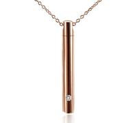 GAOFESA Récipient commémoratif en acier inoxydable pour chien - Pendentif cylindrique - Urne funéraire - Collier pour femme - Lettre