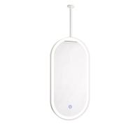 Gaommini Miroir Mural de Salle de Bain Ovale avec Cadre en métal LED Blanc, éclairage au Plafond, avec Tige de Suspension au Plafond - Gradation Douce 3 Couleurs(40cmx70cm)