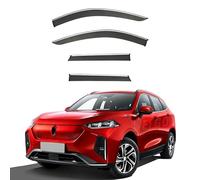 gaowenying 4 Pièces Déflecteurs de Vent de Voiture,pour Ora Cherry Cat 2022+,Pare-Soleil,Pare-Pluie,Pare-Vent