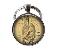 gaoxiang Porte-clés anatomie humaine, porte-clés anatomique des organes internes, cadeau pour médecin, infirmière, biologie, étudiant en médecine, unisex, argenté