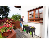 Carré potager sur pieds avec serre Graf 645143 marron G