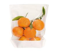 Garcia de pou Turtle Pack - Sachet Avec Base Et Fenêtre 50 G/M2 + 15 Pp 20X24 Cm/21X3,5 Cm Blanc Kraft - 3000 unités