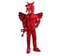 garçon Fille Dragon Rouge Médiéval Livre Jour Halloween Welsh Pays de Galles St Davids Jour Costume déguisement - Rouge, Rouge, 8-10 Years (140cms)
