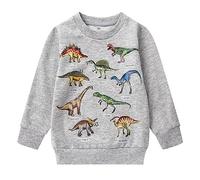 Garçon Pull Sweatshirt Vêtements pour Garçons Enfants Sportswear Dinosaures en Coton Jumper Pullover T Shirt Manches Longues Col Rond Gris Atomne Hiver Taille 6-7 Ans 7T Action de grâces Noël Cadeaux