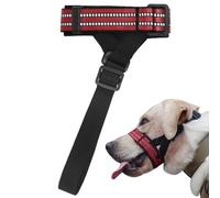 Garde-museau pour Chiens | La Mastication indésirable empêche Les Chiens de mâcher des muselières réfléchissantes de Nuit - Décorations d'intérieur pour pour la Maison, la Photographie, Les Jeu
