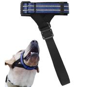 Garde-museau pour Chiens - La Mastication indésirable empêche Les Chiens de mâcher des muselières réfléchissantes de Nuit | Accessoires de vêtements pour pour Jouer en Plein air, à la Maison, e