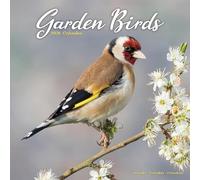 Garden Birds Calendar 2026 Square Birds Wall Calendar - 16 Month