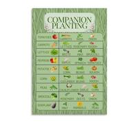 Garden Companion Planting Chart Poster, Vegetable & Herb Pairing Reference Guide, Educational Canvas Wall Art for Home Office, Study Room, Classroom(Framed,08x12inch(20x30cm))
