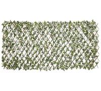 Garden Deluxe Bayberry Clôture décorative, résistante aux intempéries, pour jardin et balcon, taille réglable et insonorisante, 100 x 200 cm