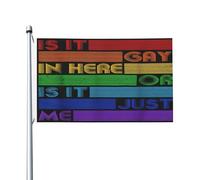 Garden Flag Est-Ce Que C'Est Gay Ici ? Rainbow De La Gay Pride Décoratifs Bannière Œillets En Laiton Dans Drapeau Pirate Pour Patio Decor Home 3X5Ft
