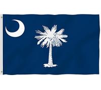 Garden Flag South Carolina State Drapeau Extérieur Premium Bannière Extérieure Pour Célébrations Balcon Fête Ferme 90X150 CM