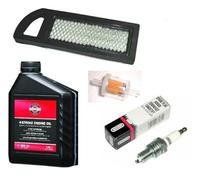 Garden & Forest UK - Kit d'entretien de rechange Briggs and Stratton I/C OHV 21 Series (10,5-16 ch) (235)