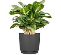 Cache-pot rond - GARDEN ID - Plano - Ø 25 - 7 L - H 22 cm - Anthracite