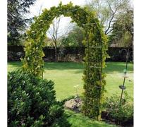 Garden Mile 2 arches de jardin robustes de 2,4 m avec cadre en acier - Grande arche de jardin en métal résistant aux intempéries pour plantes grimpantes d'intérieur et d'extérieur pour rosiers