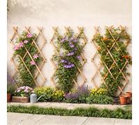Garden Mile Lot de 3 panneaux de treillis en bois de pin robuste de 1,8 x 0,9 m pour plantes grimpantes, grand support extensible idéal pour les pois de senteur, les clématites, les plantes grimpantes