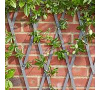 Garden Mile Treillis en bois gris robuste pour plantes grimpantes, panneau de support pour fleurs, décoration de jardin, treillage mural, panneaux de clôture, 180 x 90 cm