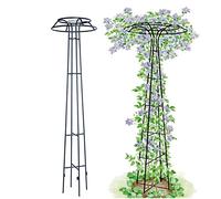 Garden Obelisk Support Trellis - Metal Rose Arch Plant Stake for Climbing Plants, Flowers & Shrubs, Outdoor Décor for Patios & Yards (Set of 2)