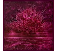 Garden of Storms – The Orchard