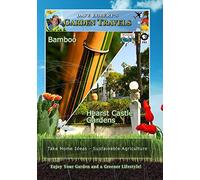 Garden Travels Bamboo Hearst Castle Gardens
