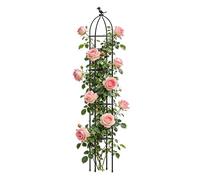 Garden Treillis Supports antirouille décoratifs | Piquets de support pour plantes pour tomates, concombres, raisins, clématites, légumes, fruits, extérieur, intérieur, patio