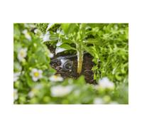 GARDENA Gardena Kit d'irrigation goutte à goutte pour jardinière/lit 35 plantes Quantité:3