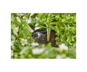 GARDENA Gardena Kit d'irrigation goutte à goutte pour jardinière/lit 35 plantes Quantité:3