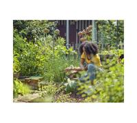 GARDENA Gardena Sécateur ExpertCut Aktion Quantité:1