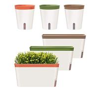 GardenBasix Lot de 6 Pots à arrosage Automatique pour Plantes d'intérieur - Jardinière décorative Moderne pour Toutes Les Plantes Grasses (6, Tricolore)