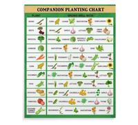 Gardening Companion Planting Poster, Plant Pairing Chart for Healthy Vegetables, Canvas Wall Art for Garden Shed, Living Room, Home Office Decor(Unframed,16x24inch(40x60cm))