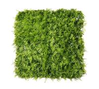Gardenode Easy Clôture Mur végétal Artificiel extérieur et intérieur 1m x 1m fougère