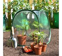 GardenSkill Mini Serre Jardin | Pop Up Petite Tunnel de Forcage Hivernage Couverture pour Semis, Fleurs, Plantes, Balcon, Jardinières, Cultures, Tomates, Fruits, Légumes 50 x 50 cm, Lot de 2
