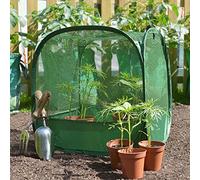GardenSkill Mini Serre pour Tomates Fraises Semis avec Filet Anti-Oiseaux 50x50cm | Tunnel de Forçage Cloche Housse de Protection pour Plantes pour Potager Jardiniere Lit de Jardin Surélevé (1)
