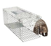 Gardigo Piège à Insectes Live Marten Trap Type de Fonctions Attractif 1 pc(s)