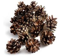 GARDIGO® Pommes de Pin Naturelles - 80 Pièces, Hôtel à Insectes, Matériau de Remplissage pour Maison d'Insectes, Aide à la Nidification pour Insectes, Décoration de Noël.