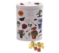 Gardiners of Scotland Thank You Tins Flowers, Vanilla Fudge, 8.8 Ounce by Gardiners of Scotland
