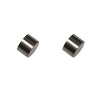 Gardinia Embouts d'Extrémité pour Tringles à Rideaux, 2 x Embouts d'Extrémité Konus, Série Windsor, Métal, Aspect INOX, Ø 25 mm (Lot de 2)