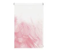 Gardinia Enrouleur Digiprint Boa à Plumes, Fixation par Serrage, Store à lumière du Jour avec Impression numérique, Opaque, Toutes Les pièces de Fixation incluses, Blanc/décor, 80 x 150 cm (lxH)